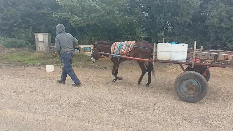 جندوبة: منطقة التوايمية تُعاني من مشقة تحصيل المياه رغم تركيز العدادات