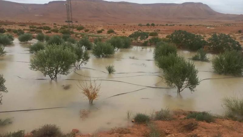 ذهيبة..السلط تدعو إلى عدم المجازفة بسبب سيلان الأودية إثر أمطار غزيرة