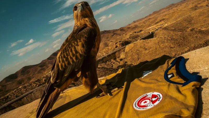 كان المغرب 2025: البطاقة الفنية للمنتخب الوطني