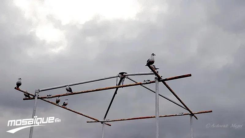 طقس مغيم بأغلب الجهات