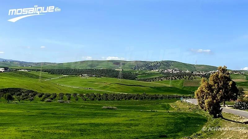 طقس الخميس 25 ديسمبر 2025