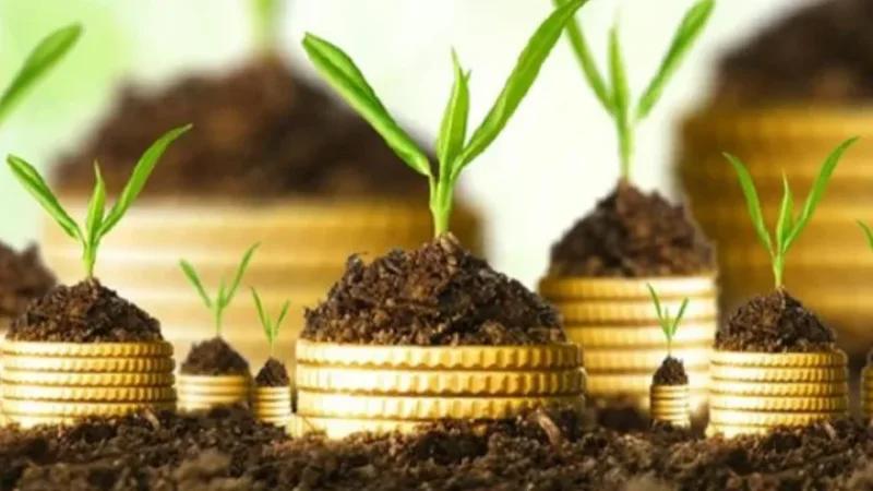 الإقليم الثالث يتصدر نسب الاستثمارات الفلاحية المصادق عليها بـ42%