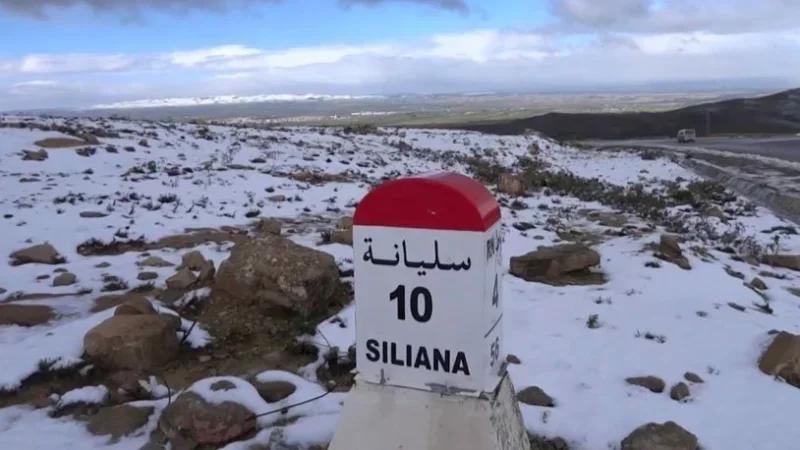 سليانة: استرجاع الضيعة الدولية الفلاحية 'بئر بوهاني 2'