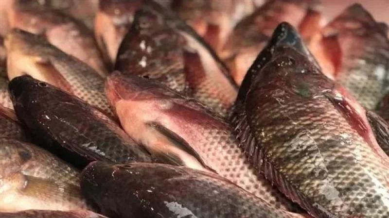 النيابة تأذن بإيقاف صاحب مطعم بسوسة يخزّن أسماكا غير صالحة للاستهلاك