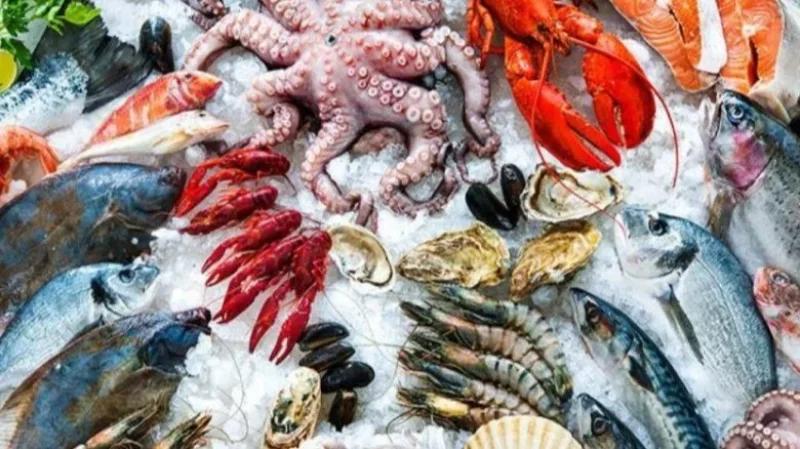 سوسة: حجز أكثر من طنّ منتجات بحرية وفتح بحث تحقيقي من أجل المضاربة