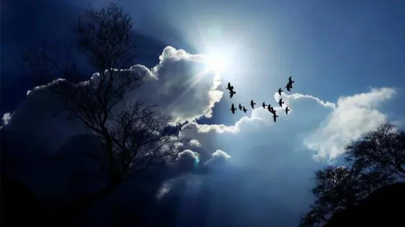 طقس اليوم.. سحب عابرة وأحيانا كثيفة