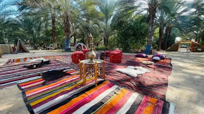 قبلي: 86% نسبة الإيواء بالنزل ليلة رأس السنة الإدارية