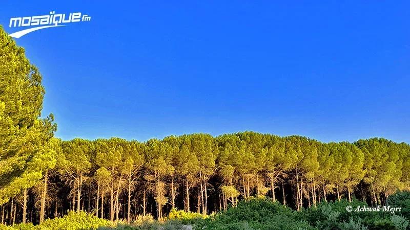 طقس الإثنين 5 جانفي 2026