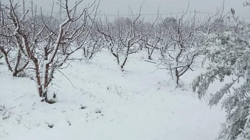 القصرين: تساقط الثلوج بتالة وتأهّب محلّي تحسّبا لأيّ طارئ