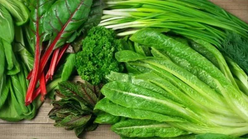 نابل: منع زراعة الخضر الورقية للسنة الرابعة على التوالي