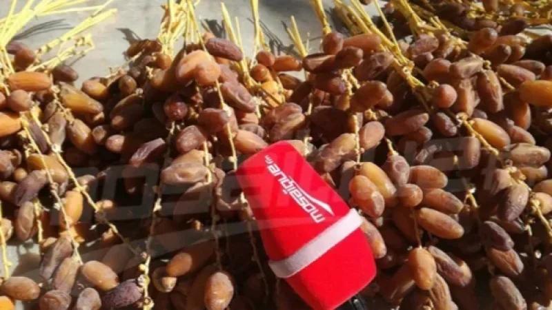 تركيز نقاط لبيع التمور من المنتج للمستهلك في عدد من الولايات