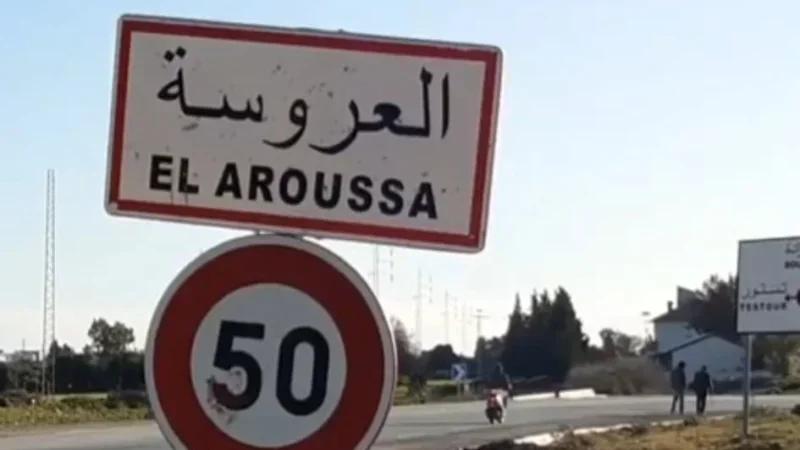 العروسة: تقدم مشروع القرية الحرفية بنسبة 90%