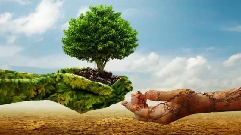 تمديد فترة الاكتتاب بصندوق تعويض الأضرار الفلاحية الناجمة عن الجوائح