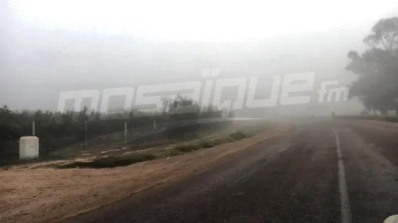 ضباب كثيف محليا وانخفاض مدى الرؤية