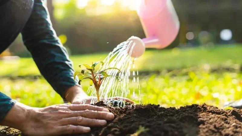 تونس تطلق مشروع 'الحزام الأخضر' لمقاومة تدهور الأراضي