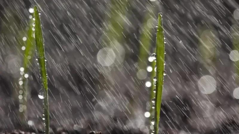 سدّ وادي الرمل: ارتفاع منسوب المياه بـ1.5 متر