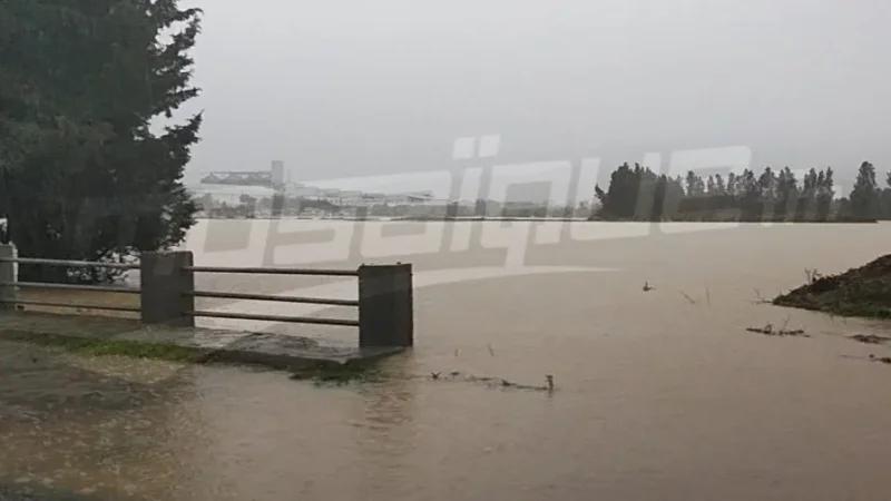 نابل: استئناف سفرات بعض الخطوط