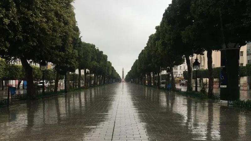 خريطة اليقظة: 11 ولاية باللون الأصفر.. والبقية 'حالة جوية عادية'