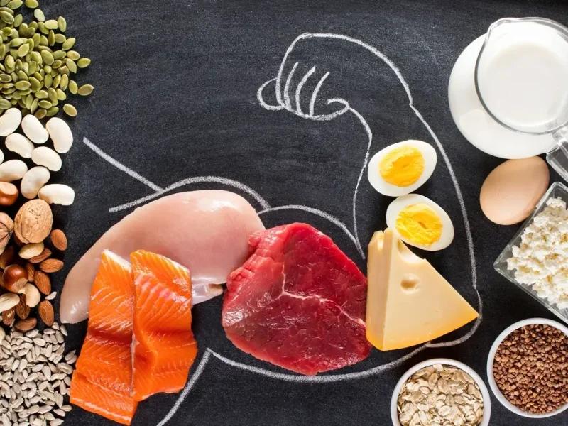 كم يحتاج الجسم من البروتين يوميا؟