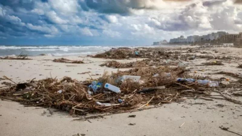 Programme exceptionnel de nettoyage des plages