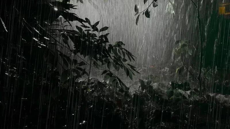 Pluies orageuses et vents forts, cette nuit…