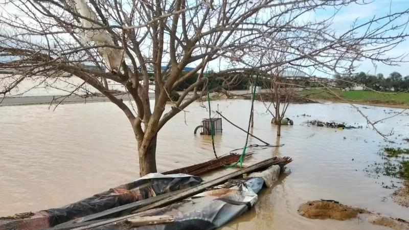 مندوبية الفلاحة بنابل: أضرار طالت المنشآت والمستغلات الفلاحية