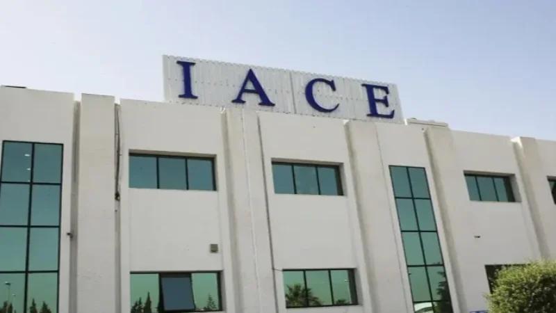 دراسة: 62% من المؤسسات في قطاعات استراتيجية حافظت على مردويتها