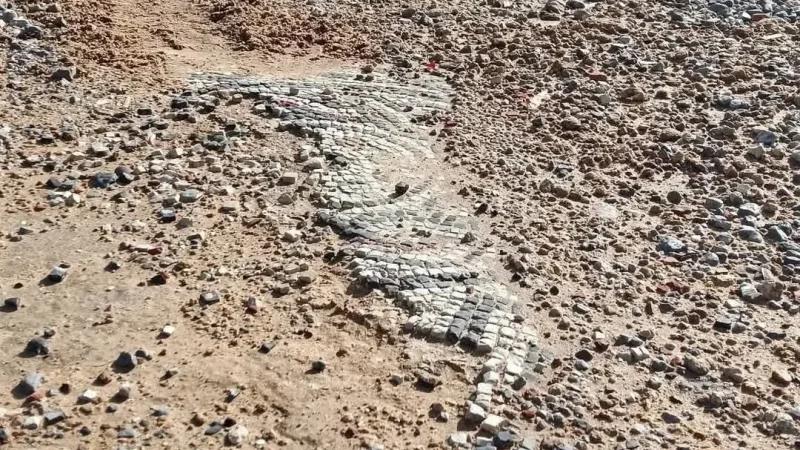 الهوارية: لوحة فسيفساء في الطريق العام!