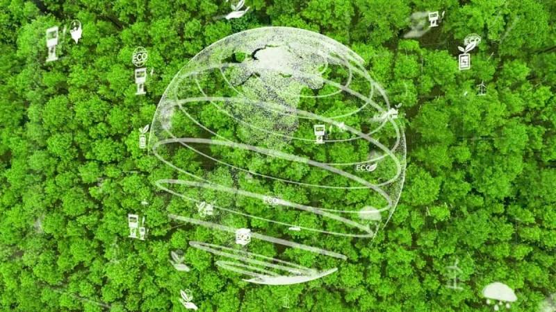 البنك الدولي: 118 مليار دولار لدعم الوظائف والتنمية المستدامة