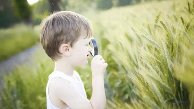 دراسة: 90% من التلاميذ بين 9 و15 سنة يفتقرون إلى الحسّ البيئي