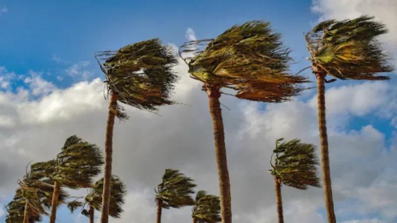 رياح قويّة جدّا آخر نهار وأثناء الليل
