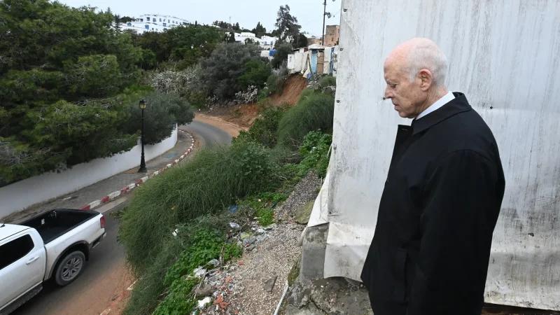 قيس سعيد يُشدّد على ضرورة اتخاذ إجراءات لحماية مدينة سيدي بوسعيد