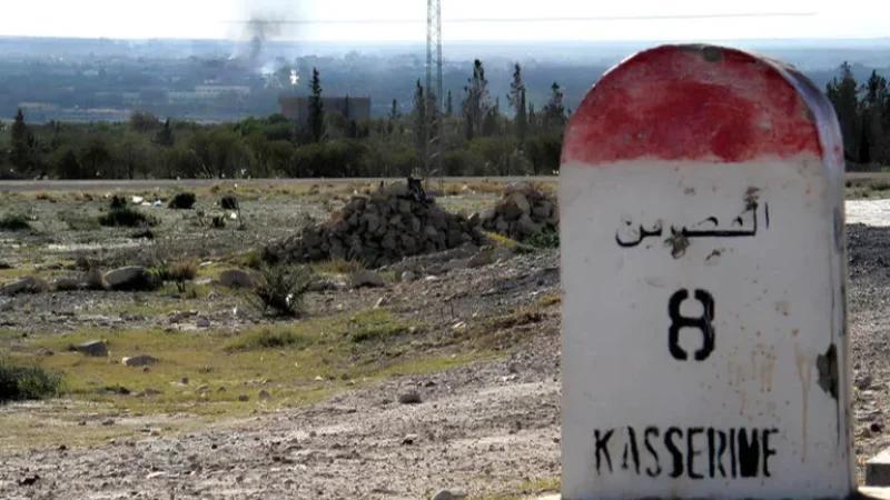 اتحاد الفلاحين بالقصرين: موسم فلاحي مبشّر جدا ونحتاج توفير الأمونيتر