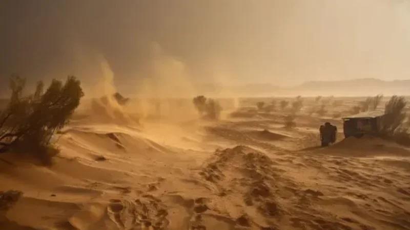 تحذير لسكان قبلي: رياح قوية.. تجنبوا الرعي بالصحراء وأي نشاط آخر