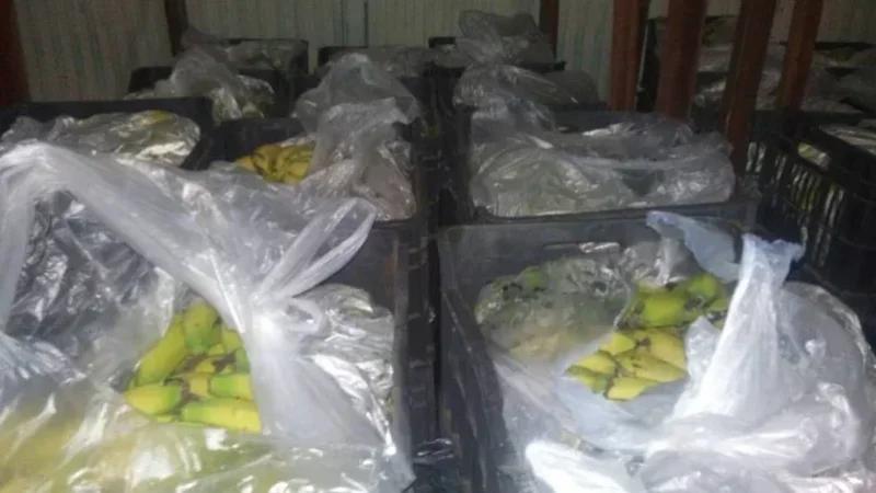 حجز أكثر من طنّ من الموز المهرّب