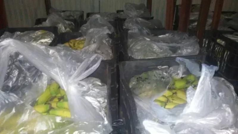 Saisie de plus d’une tonne de bananes de contrebande