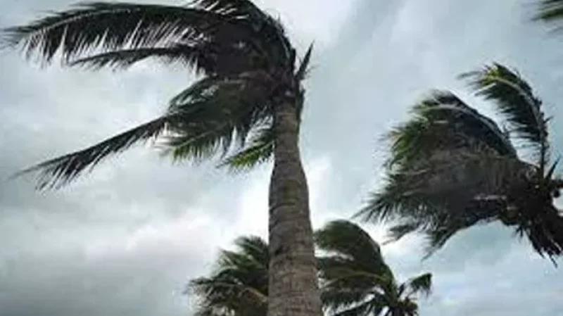 منوبة: هدم بناية قديمة وقصّ أشجار وتعزيز فرق التدخل تحسّبا لرياح قوية