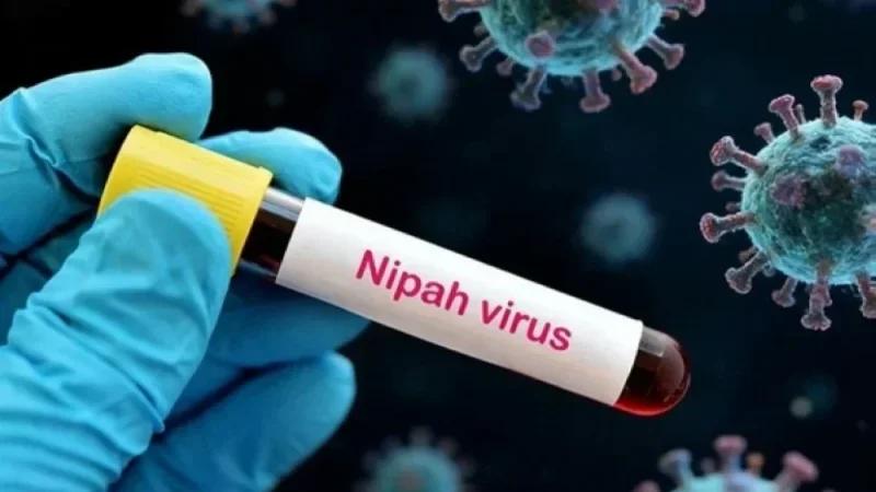 بعد 25 عامًا من اكتشافه: أوّل لقاح لفيروس نيباه يدخل التجارب السريرية