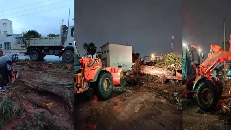 تدخلات مصالح وزارة التجهيز و الاسكان إثر التقلبات الجوية