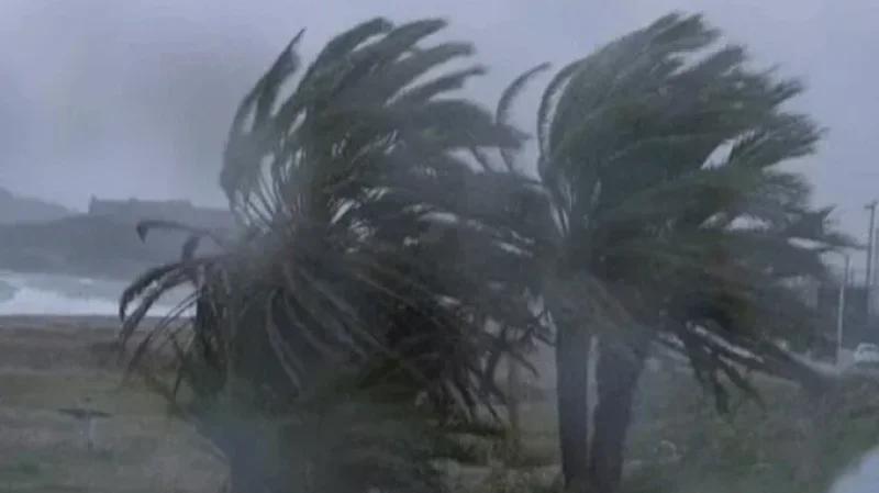 القصرين : أضرار فلاحية بعد هبوب رياح قوية بعدد من المناطق