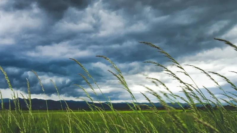 طقس مغيّم وأمطار متفرقة اليوم