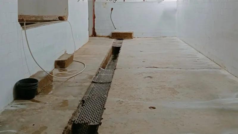 الرديف: استئناف العمل بالمسلخ البلدي