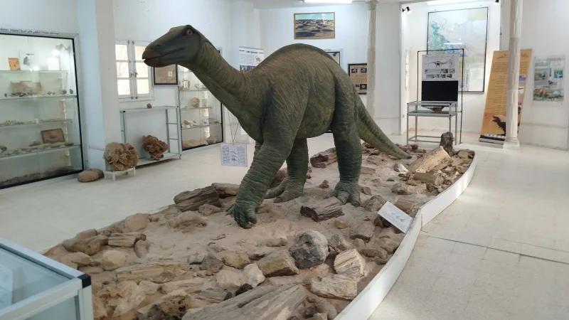 متحف ذاكرة الأرض.. النواة الأولى لـ'جيوبارك تونس' يستقبل 1000 زائر