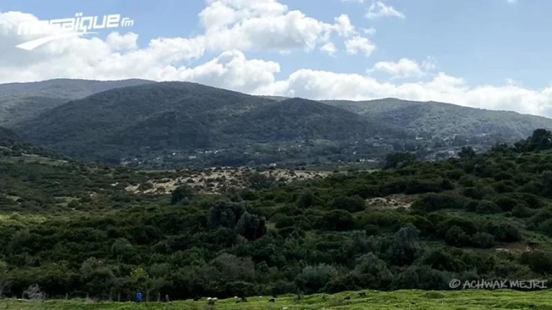 الأحد.. أمطار متفرّقة ببعض الجهات