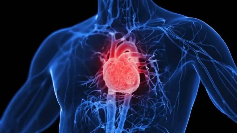 دراسة طبية تكشف علاقة بين الإنفلونزا الشديدة وتلف القلب