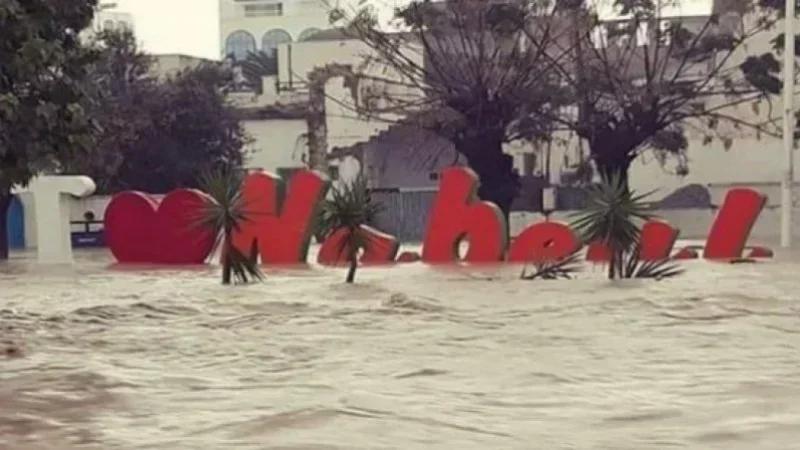 Intempéries à Nabeul: Pertes agricoles et troupeaux décimés