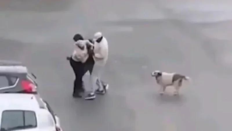 Braquage filmé à La Soukra: Arrestation de trois Subsahariens