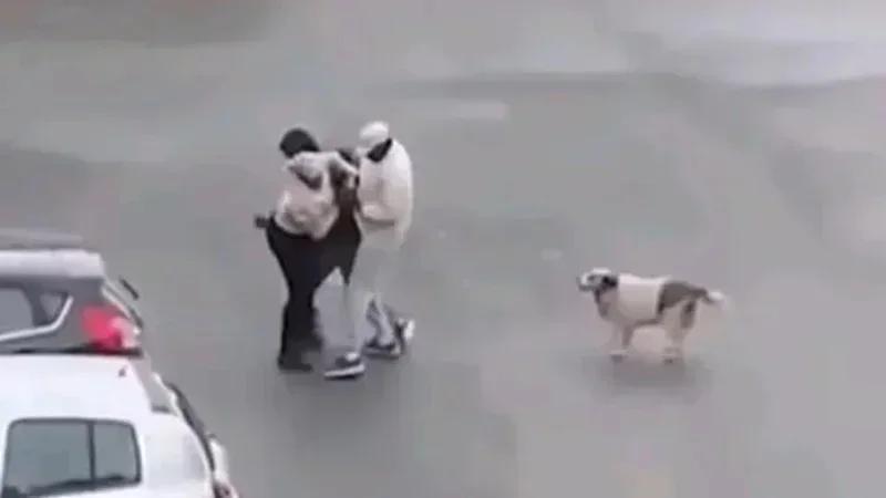 Braquage d’une femme à l’Ariana : Les quatre agresseurs arrêtés