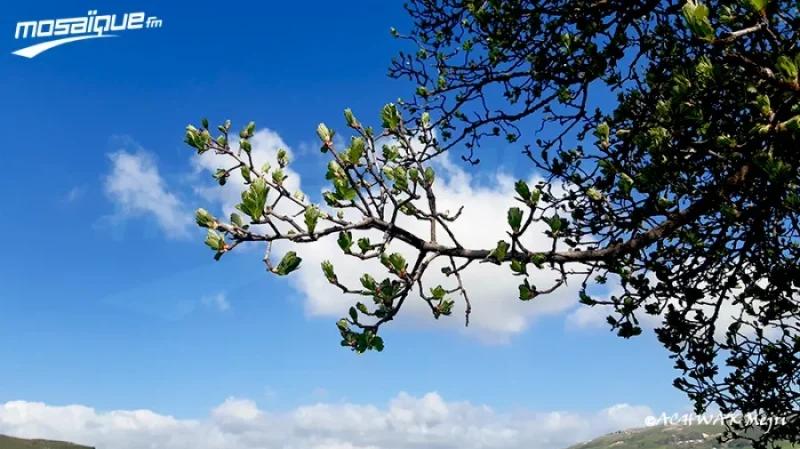 La météo du lundi 16 février 2026