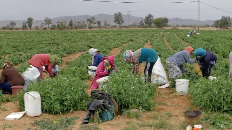 الحقوق الاقتصادية والاجتماعية للنساء في تونس.. ماذا تقول الأرقام؟